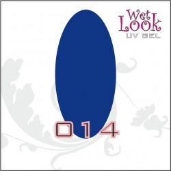 Gel Color Wet Look 5g #014